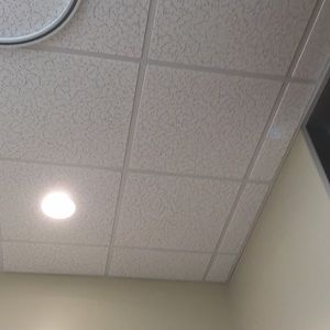 Meet your Posher, Ana